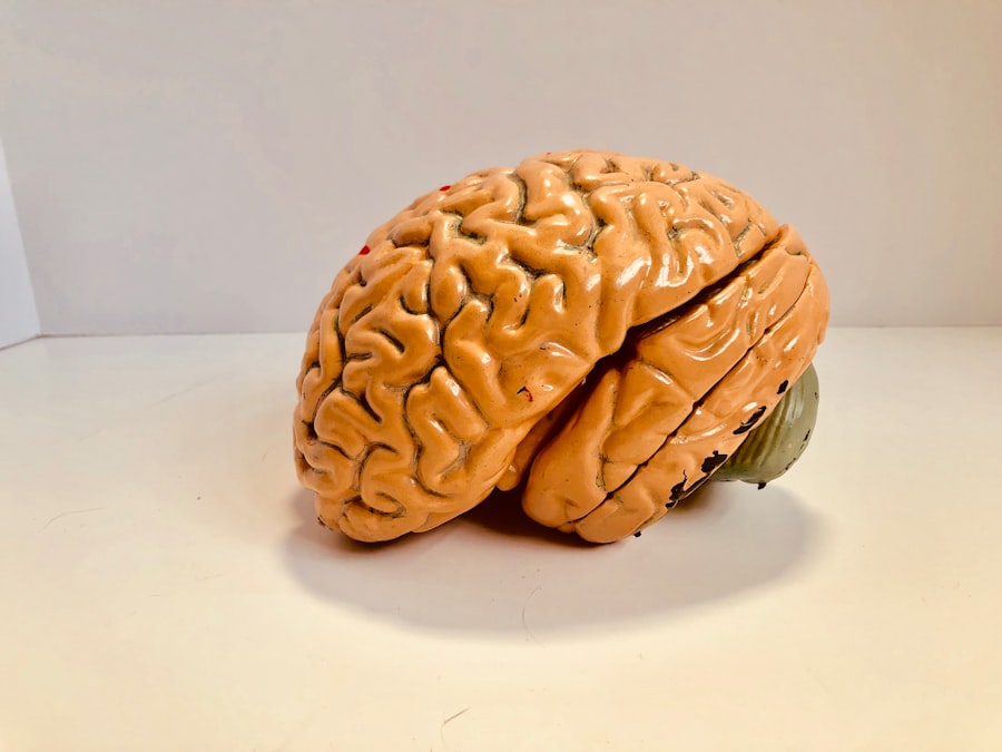 Neuromarketing: praktyczne zastosowania