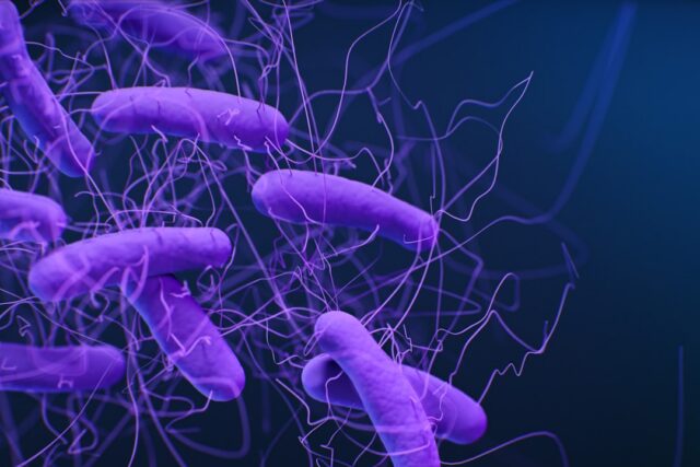 Wzmocnienie mikrobiomu jelitowego: skuteczne metody
