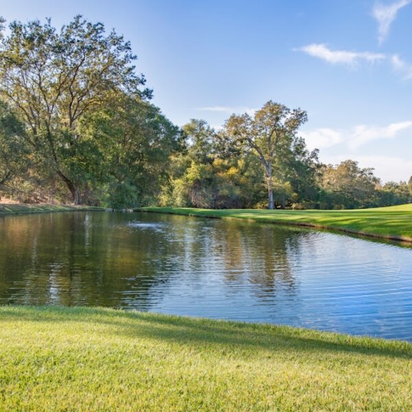 Zalety pożyczek społecznościowych